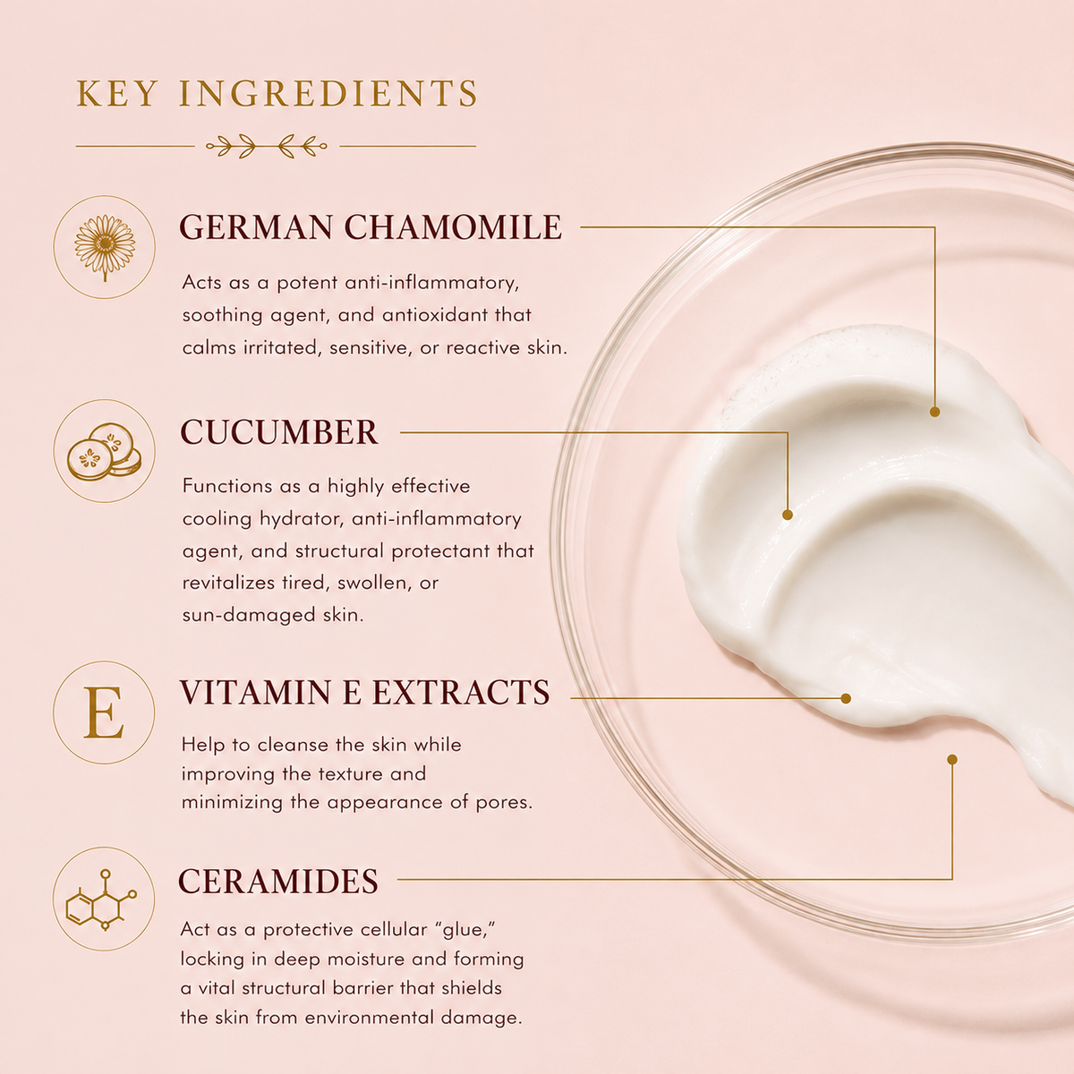 Gentle Cream Cleanser